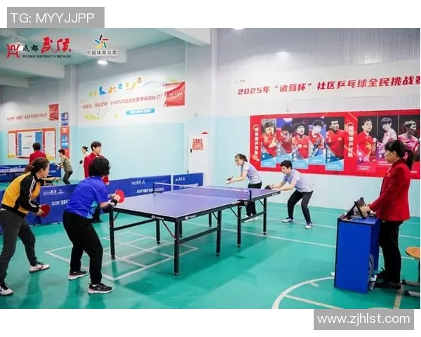 聚焦乒乓球：探讨杭州乒乓球队员个人能力与团队协作的关系